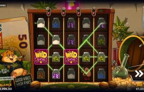 Screenshot fra den Nye Hamsterdam Slot af Wicked Games