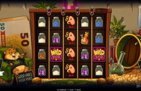 Screenshot van de nieuwe Hamsterdam slot van Wicked Games