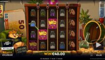 Screenshot from the New Hamsterdam Slot by Wicked Games