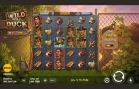 Screenshot from the New Wild Wild Duck Slot by Popiplay
