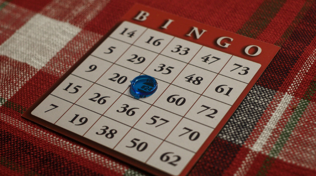 Bingo kort på ternet dug