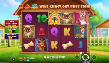Screenshot van de nieuwe The Big Dog House slot van Pragmatic Play