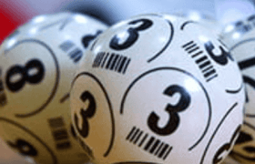 Bile loto