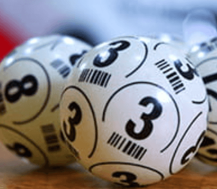 Bile loto
