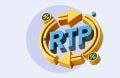 Ce este RTP?