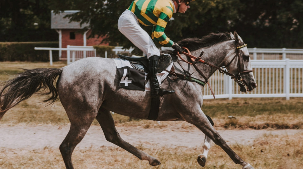 Jockey astride his racing mount