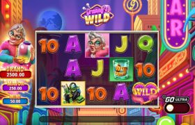 Screenshot from the Granny's Wild slot by Play'n GO